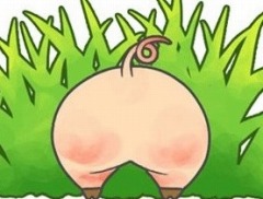 ブタのお尻が表示された謎のカウントダウンサイトが公開に。3DS用ダウンロードソフトの新作タイトルが2015年夏に配信予定