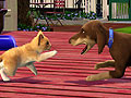 EA,「ザ・シムズ3 ペット」を2011年10月20日に発売。ペットを飼うだけではなく,ペットになって暮らすこともできるのだ