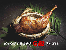 画像集#018のサムネイル/USJの「モンスターハンター・ザ・リアル 2012」が本日開幕。等身大「動くリオレイア希少種」にDLクエストの先行配信にと催しは盛りだくさん