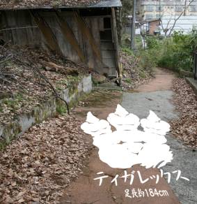 画像集#011のサムネイル/「モンハン」と信州渋温泉が3度めのコラボ。開催期間は7月27日から約1年間