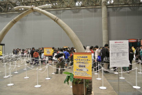 画像集#118のサムネイル/約1万2000人の狩人が集結した「モンスターハンターフェスタ’13」東京大会をレポート。「狩王決定戦」「親子ハンター/女子ハンター日本一決定戦」の東京地区代表も決定