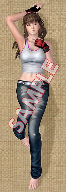 画像集#005のサムネイル/「DEAD OR ALIVE 5」,抱き枕カバー5種「かすみ/あやね/ヒトミ/レイファン/こころ」の予約受付が本日スタート。対応ジョイスティックが当たるキャンペーンも