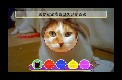 画像集#004のサムネイル/3DS/Wii/PSP「ぷよぷよ！！」各バージョンの特徴や，予約特典および3DS版の数量限定パッケージの内容をおさらい。機種ごとに異なる楽しみが味わえる