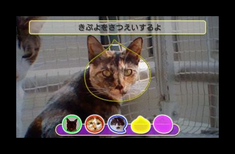 画像集#006のサムネイル/3DS/Wii/PSP「ぷよぷよ！！」各バージョンの特徴や，予約特典および3DS版の数量限定パッケージの内容をおさらい。機種ごとに異なる楽しみが味わえる