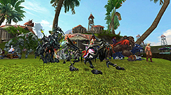 #022Υͥ/3D MMORPGֶ˸ -AURORA-פΥץ¥ƥȤȡ ͡ؤΰդǼΡֱ̿פڤ곫