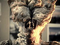 「The Last of Us」の開発者ビデオダイアリー第1弾が公開。謎の菌類に寄生されたインフェクテッドについて,詳しく解説
