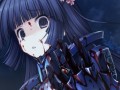 「トータル・イクリプス」祝・アニメ化。「マブラヴ オルタネイティヴ クロニクルズ03」の新情報も公開された,「ニコニコオルタバカ会議」レポート
