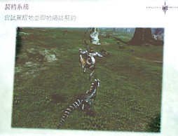 画像集#017のサムネイル/2012年，アエリアが満を持して贈る新作オンラインRPG「Dragon's Prophet」とは？　