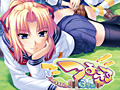 「つよきす3学期Portable」の廉価版「レヴォコレ つよきす3学期Portable」が4月25日に発売。パッケージ版が2940円,DL版が2300円