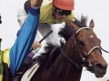 GI「未勝利馬」で頂点を目指せ! 競走馬リアルカード連動型ゲーム 「オーナーズホース」で,6月30日に4Gamer Cup開催