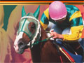 ブラウザ競馬ゲーム「オーナーズホース」第3弾が11月23日に発売。伝説の快速馬や悲劇の名馬,さらにあの迷馬も登場
