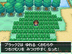 画像集#027のサムネイル/「ポケットモンスターブラック2・ホワイト2」,1人でも100人でも遊べる新機能「フェスミッション」システムほか最新情報を一挙公開