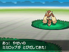 画像集#044のサムネイル/「ポケットモンスターブラック2・ホワイト2」,1人でも100人でも遊べる新機能「フェスミッション」システムほか最新情報を一挙公開