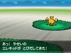 画像集#045のサムネイル/「ポケットモンスターブラック2・ホワイト2」,1人でも100人でも遊べる新機能「フェスミッション」システムほか最新情報を一挙公開