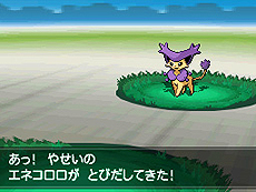 画像集#046のサムネイル/「ポケットモンスターブラック2・ホワイト2」,1人でも100人でも遊べる新機能「フェスミッション」システムほか最新情報を一挙公開
