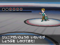 日本代表に挑め。「ポケットモンスターブラック2・ホワイト2」の追加コンテンツ,“日本代表決定大会 トーナメント”が6月29日より配信
