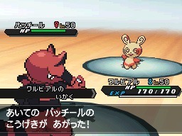 画像集#012のサムネイル/「ポケットモンスターブラック2・ホワイト2」のイベント情報と,「ポケモンワールドチャンピオンシップス2012」の映像が公開に