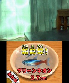 画像集#005のサムネイル/「みんなの縁日」は5月24日に発売。「金魚すくい」や「ヨーヨー釣り」などがいつでもみんなで楽しめる