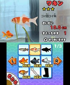 画像集#006のサムネイル/「みんなの縁日」は5月24日に発売。「金魚すくい」や「ヨーヨー釣り」などがいつでもみんなで楽しめる