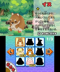 画像集#011のサムネイル/「みんなの縁日」は5月24日に発売。「金魚すくい」や「ヨーヨー釣り」などがいつでもみんなで楽しめる