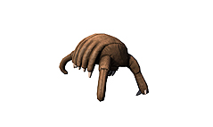 画像集 No.023のサムネイル画像 / 「カウンターストライクオンライン2」の正式サービスが本日スタート。新モードや多数のマップ,アイテムの「合成・分解システム」などが実装に