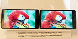  No.019Υͥ / HTC J butterflyפisai vividפʤȼǥμϤ䤤ˡ KDDI2015ǯƥǥ륹ޡȥե򿨤äƤ