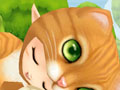 MMORPG「Cocoloa(ココロア)」の正式サービスは5月23日17:00にスタート。OBT初日に記録されたデータや,イベント情報も掲載