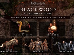 「エルダー・スクロールズ・オンライン」日本語版のオータムセールが開催。最新DLC“ブラックウッド”が50%オフ,ベースゲームが89%オフに