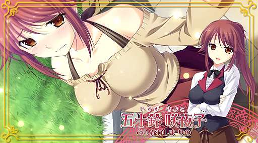 PSPǡ֥奯 PORTABLE 硼PV / ޽