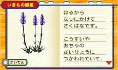 画像集#010のサムネイル/「こびとづかん こびと観察セット」のTVCMを「いつの間にテレビ」で先行配信。“こびと”がこっそり隠れている公式サイトではパッケージ裏面画像も公開