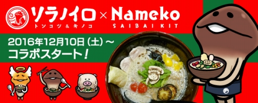 画像集 No.001のサムネイル画像 / 「なめこ栽培キット」とソラノイロ トンコツ＆キノコのコラボラーメンが12月10日から発売