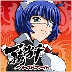 一騎当千 バーストファイト