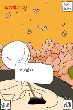 ꡼ No.004Υͥ / ˤʤΤġġ ޥ۸奢륲μפҲ𤹤֡ʤۤܡޥۥ̿1510