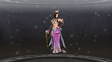 画像集#010のサムネイル/コーエーテクモゲームス,「真・三國無双6 Empires」の初回封入特典の画像を公開