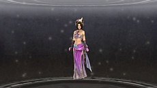 画像集#011のサムネイル/コーエーテクモゲームス,「真・三國無双6 Empires」の初回封入特典の画像を公開