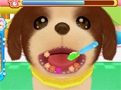 「わんニャンどうぶつ病院2」の最新情報が公開。動物病院での仕事や,休日の過ごし方が分かる