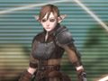 「ヴァルハラナイツ3」は魔法が使えるファイターや打たれ強いメイジも生み出せる。「職業レベル」「職業スキル」「スロット」という3要素の概要が公開に