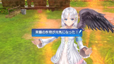 画像集#013のサムネイル/「シャイニング・アーク」冒険の拠点となるアゼル村で楽しめる要素を紹介。NPCの一人であるガルゼーのプロフィールなども公開に