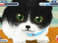 「かわいい子猫3D」が12月13日に発売。アメリカンショートヘアやロシアンブルーなど人気の猫達の飼い主になって絆を深めよう