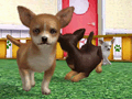 「オシャレでかわいい 子犬と遊ぼ!-海編-」が12月20日に発売。ペットの育成をしつつ,村民の依頼をクリアして村の発展を目指そう