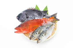 画像集#007のサムネイル/「釣りスピリッツ」で釣れる魚が離島から自宅に届くキャンペーンが開催