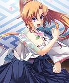あっぱれ!天下御免 乱