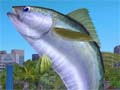 「Fish Hunt 世界を釣れ!」オープンサービスが1月17日にスタート。世界中の魚を釣り上げよう