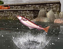 画像集#006のサムネイル/「Fish Hunt 世界を釣れ!」,明日からのオープンサービスを控えて,最新釣りスポットの情報を公開