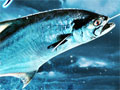 オンライン釣りゲーム「Fish Hunt 世界を釣れ!」を先行体験。気楽に釣りの面白さと緊張感が味わえる