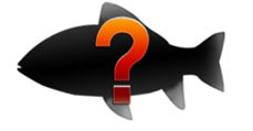画像集#014のサムネイル/「Fish Hunt 世界を釣れ！」の正式サービスが本日スタート。上級者向けの魚「ハイエンドフィッシュ」が実装されたほか，有料アイテムの販売も開始