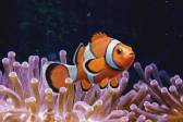 画像集#003のサムネイル/「Fish Hunt」に東南アジアの釣り場第2弾「プーケット」などが明日実装