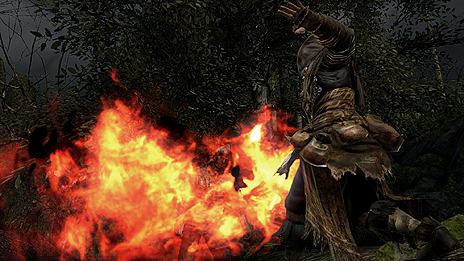 画像集#018のサムネイル/「DARK SOULS II」の世界設定や登場キャラの情報がスクリーンショットと共に公開。店舗別購入特典の有償配信はなくなり,ゲーム内で入手可能に