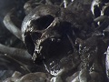 「DARK SOULS II」,ダークファンタジーな世界観がひしひしと感じられるローンチトレイラーが公開