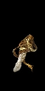 画像集#004のサムネイル/「DARK SOULS II」,オンライン要素を中心とした新たなスクリーンショットが公開に